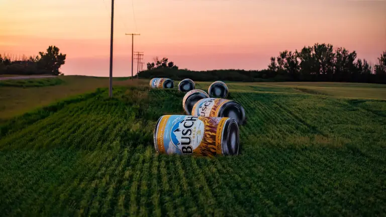 Busch-baleboards-bottes-foin-agriculteurs-1-768x432jpeg – new classic Row of Busch beer cans resting on a grassy rural field at sunset.